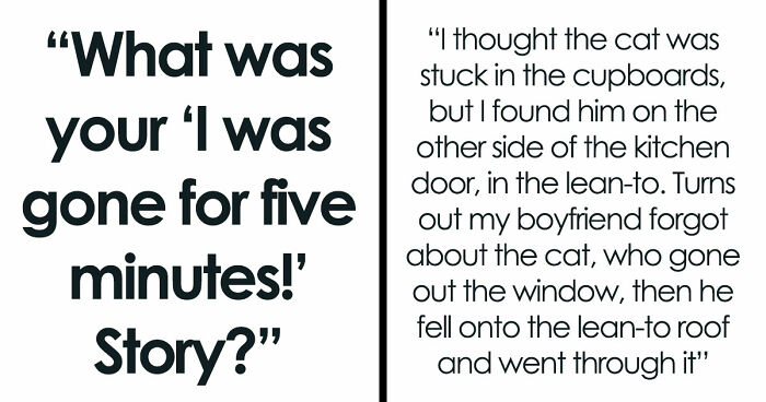 45 Unexpected Disasters That Happened When Someone Left The Room For A Few Minutes