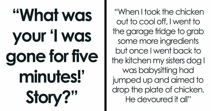 45 Unexpected Disasters That Happened When Someone Left The Room For A Few Minutes