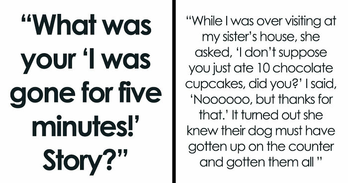 45 Unexpected Disasters That Happened When Someone Left The Room For A Few Minutes