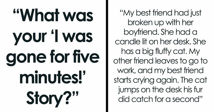 45 Unexpected Disasters That Happened When Someone Left The Room For A Few Minutes