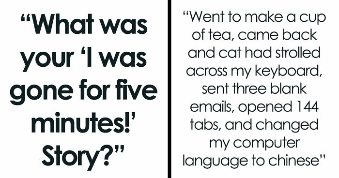 45 Unexpected Disasters That Happened When Someone Left The Room For A Few Minutes