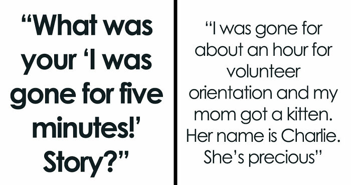 45 Unexpected Disasters That Happened When Someone Left The Room For A Few Minutes