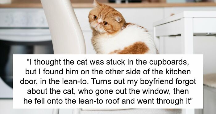 45 Unexpected Disasters That Happened When Someone Left The Room For A Few Minutes