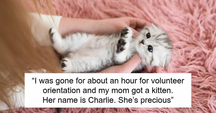 45 Unexpected Disasters That Happened When Someone Left The Room For A Few Minutes