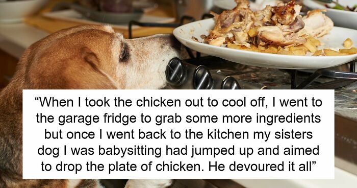 45 Unexpected Disasters That Happened When Someone Left The Room For A Few Minutes