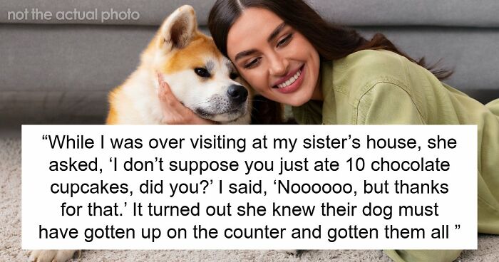 45 Unexpected Disasters That Happened When Someone Left The Room For A Few Minutes