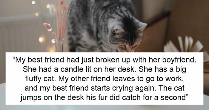 45 Unexpected Disasters That Happened When Someone Left The Room For A Few Minutes