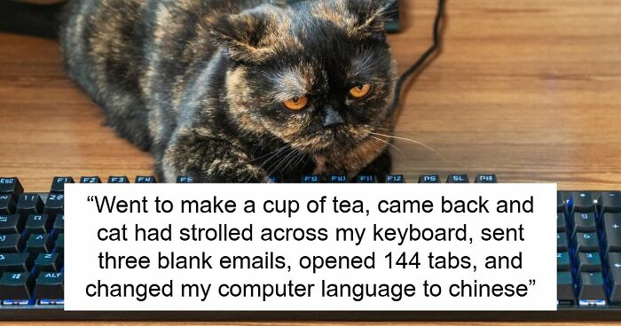 45 Unexpected Disasters That Happened When Someone Left The Room For A Few Minutes