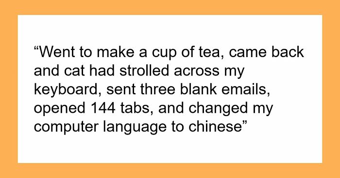 45 Unexpected Disasters That Happened When Someone Left The Room For A Few Minutes