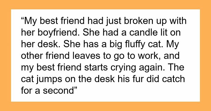45 Unexpected Disasters That Happened When Someone Left The Room For A Few Minutes