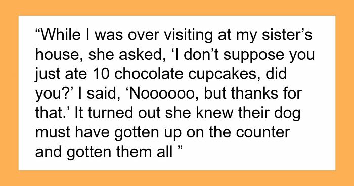 45 Unexpected Disasters That Happened When Someone Left The Room For A Few Minutes