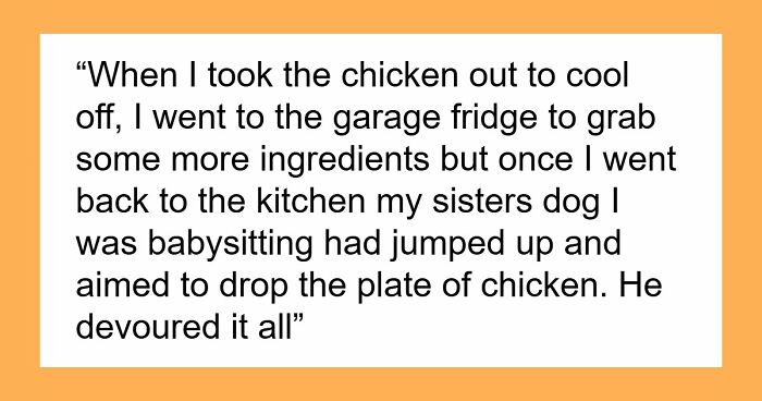 45 Unexpected Disasters That Happened When Someone Left The Room For A Few Minutes