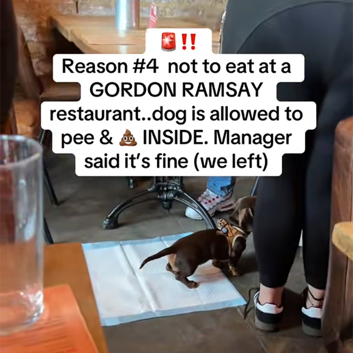 Gordon Ramsay Breaks His Silence On Explosive Restaurant Drama After Customers Spot Detail They “Can’t Unsee”
