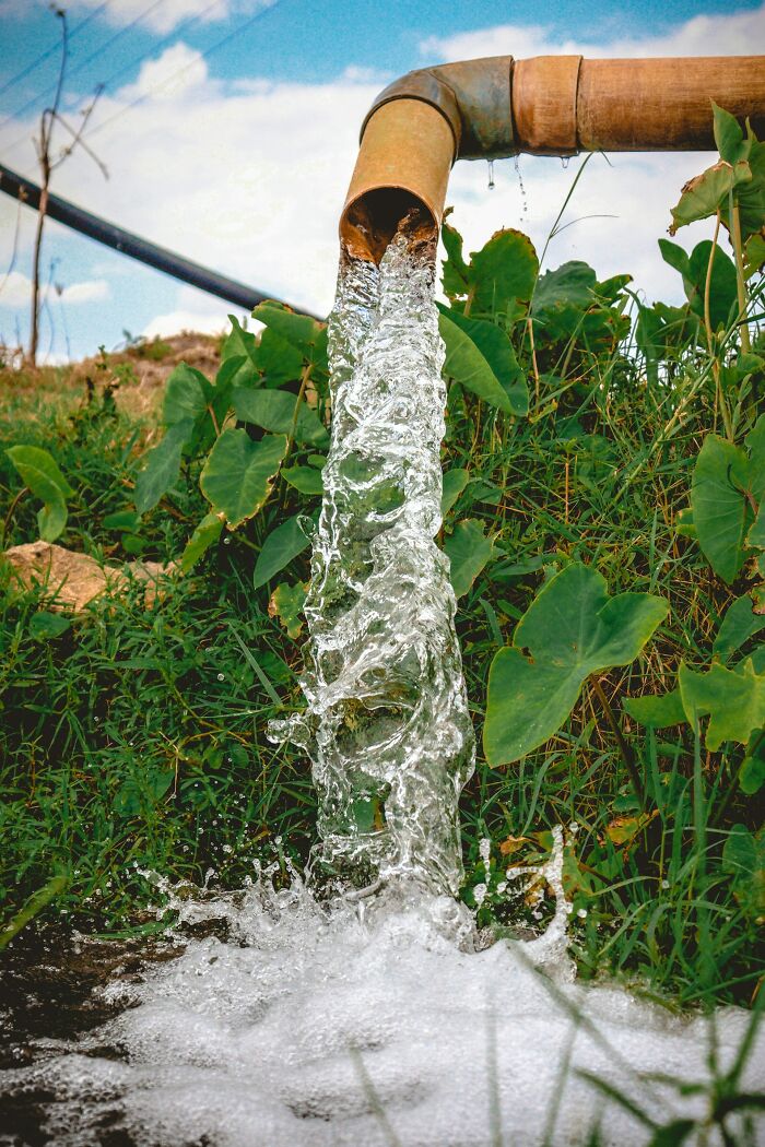 Clean water flowing from pipe onto green plants showing water resources