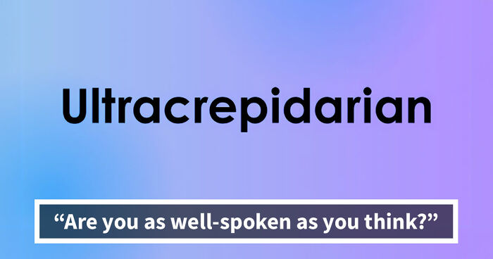 “Do You Know These Obscure Words?”: Take This 24-Question Vocabulary Quiz
