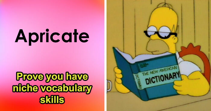 “Do You Know These Obscure Words?”: Take This 24-Question Vocabulary Quiz