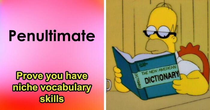 “Do You Know These Obscure Words?”: Take This 24-Question Vocabulary Quiz