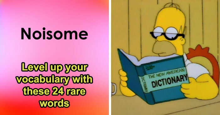 “Do You Know These Obscure Words?”: Take This 24-Question Vocabulary Quiz