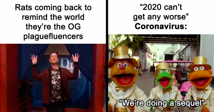 Hantavirus Outbreak: People Are Dealing With The New Virus Panic With Memes, And Here Are XX To Help You Cope