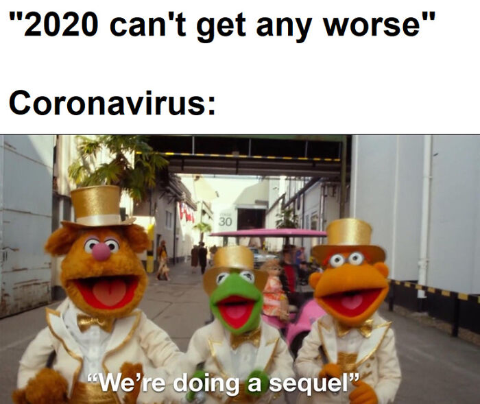 Hantavirus-Memes-Tweets-Reactions