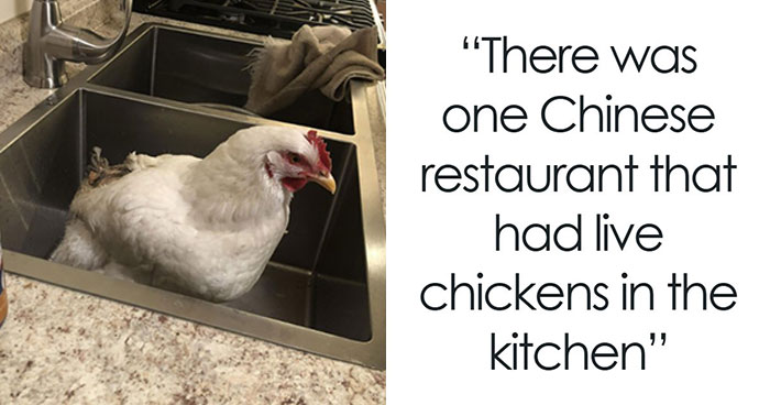 39 Horrible Stories From Health Inspectors That Might Make You Never Eat Out Again
