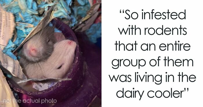 39 Horrible Stories From Health Inspectors That Might Make You Never Eat Out Again