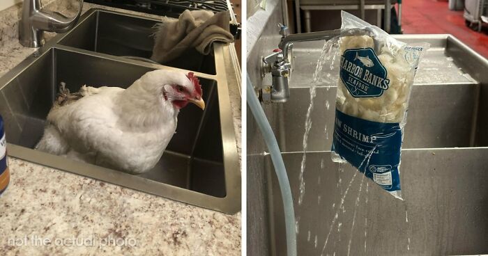 39 Horrible Stories From Health Inspectors That Might Make You Never Eat Out Again