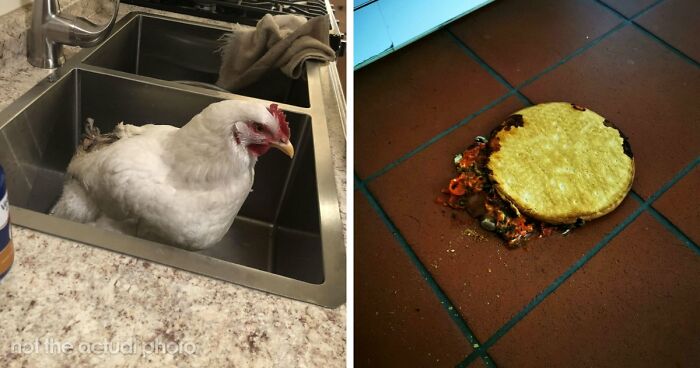 39 Horrible Stories From Health Inspectors That Might Make You Never Eat Out Again