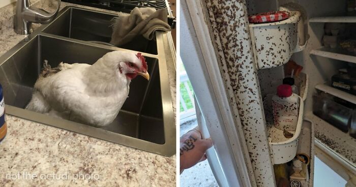 39 Horrible Stories From Health Inspectors That Might Make You Never Eat Out Again