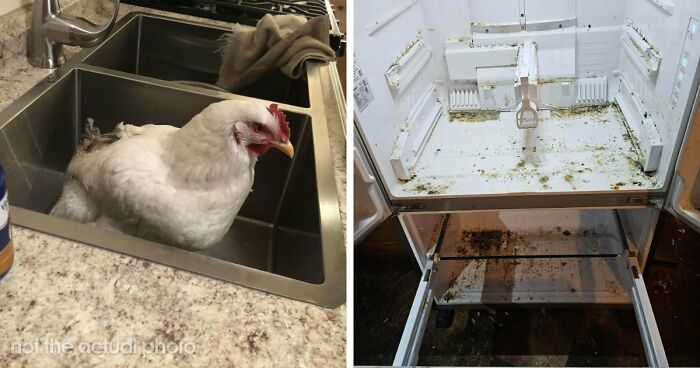 39 Horrible Stories From Health Inspectors That Might Make You Never Eat Out Again