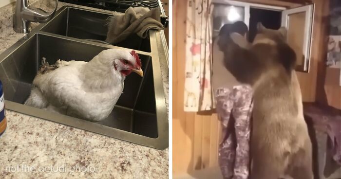 39 Horrible Stories From Health Inspectors That Might Make You Never Eat Out Again