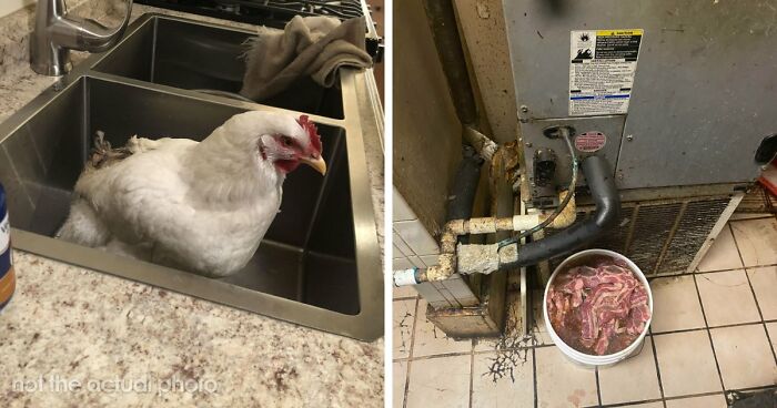39 Horrible Stories From Health Inspectors That Might Make You Never Eat Out Again