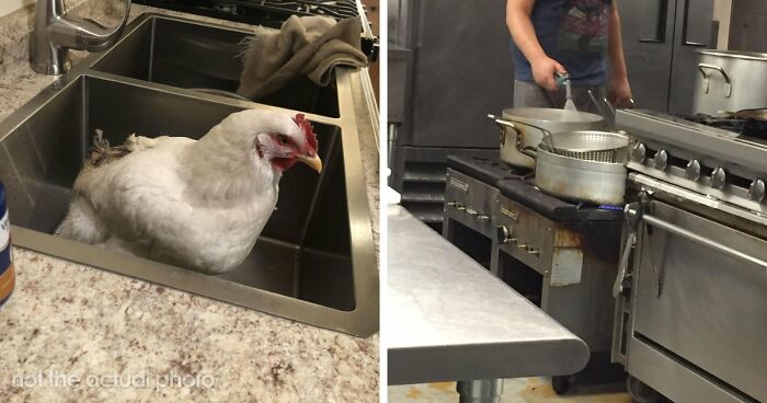 39 Horrible Stories From Health Inspectors That Might Make You Never Eat Out Again