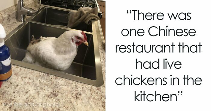 39 Horrible Stories From Health Inspectors That Might Make You Never Eat Out Again