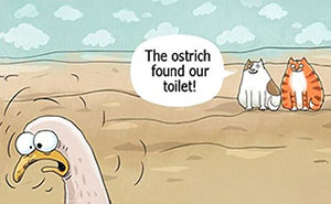 50 Beautiful Cat Comics By This Artist That Show Why Humans Feel So Deeply Connected To These Animals