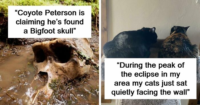 77 Stories Of High Strangeness That Might Send You Down A Late-Night Rabbit Hole
