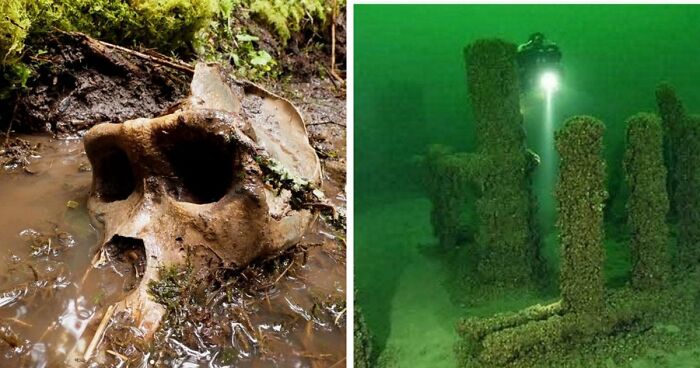 77 Stories Of High Strangeness That Might Send You Down A Late-Night Rabbit Hole