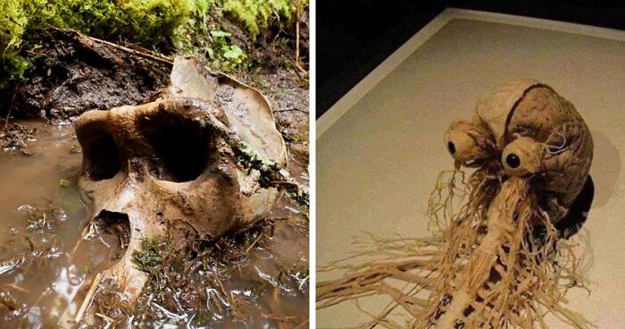77 Stories Of High Strangeness That Might Send You Down A Late-Night Rabbit Hole