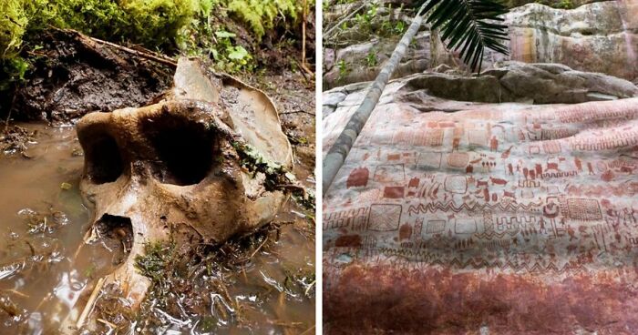77 Stories Of High Strangeness That Might Send You Down A Late-Night Rabbit Hole