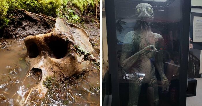 77 Stories Of High Strangeness That Might Send You Down A Late-Night Rabbit Hole