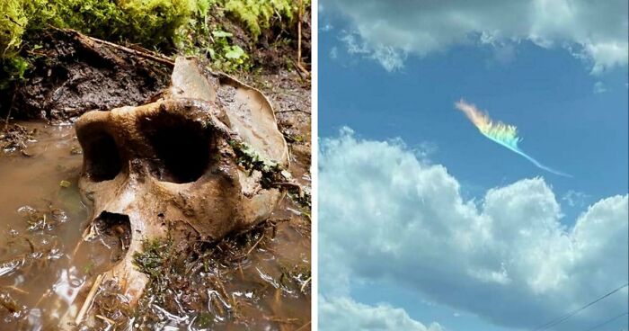 77 Stories Of High Strangeness That Might Send You Down A Late-Night Rabbit Hole