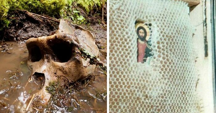 77 Stories Of High Strangeness That Might Send You Down A Late-Night Rabbit Hole