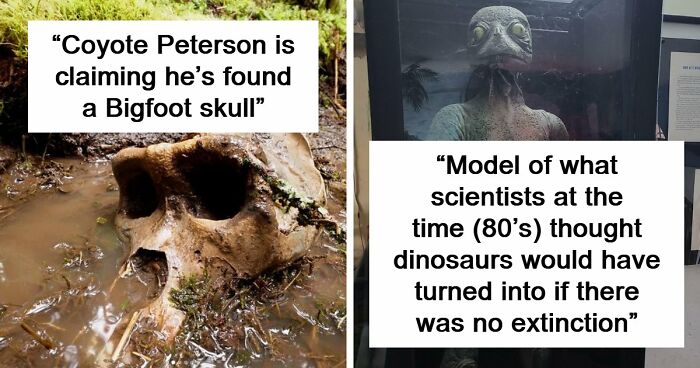 77 Stories Of High Strangeness That Might Send You Down A Late-Night Rabbit Hole