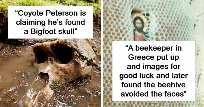 77 Stories Of High Strangeness That Might Send You Down A Late-Night Rabbit Hole