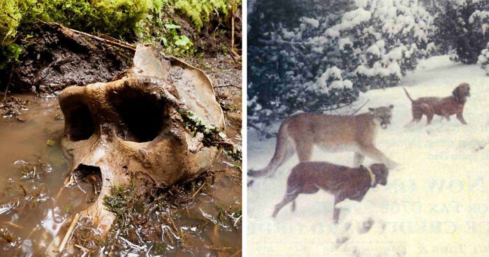 77 Stories Of High Strangeness That Might Send You Down A Late-Night Rabbit Hole