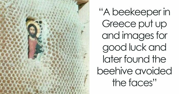 77 Stories Of High Strangeness That Might Send You Down A Late-Night Rabbit Hole