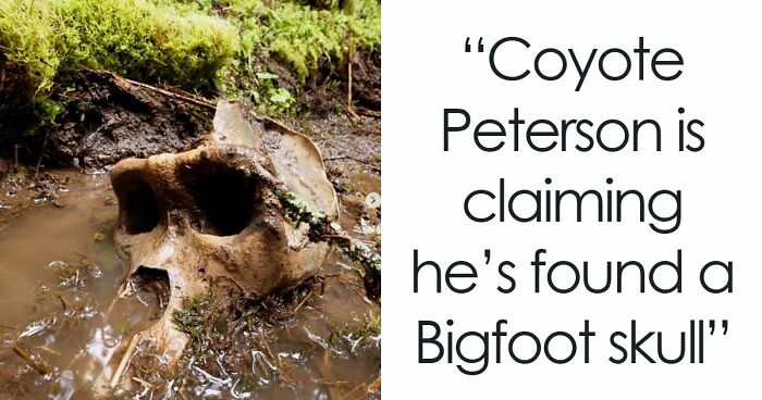 77 Stories Of High Strangeness That Might Send You Down A Late-Night Rabbit Hole