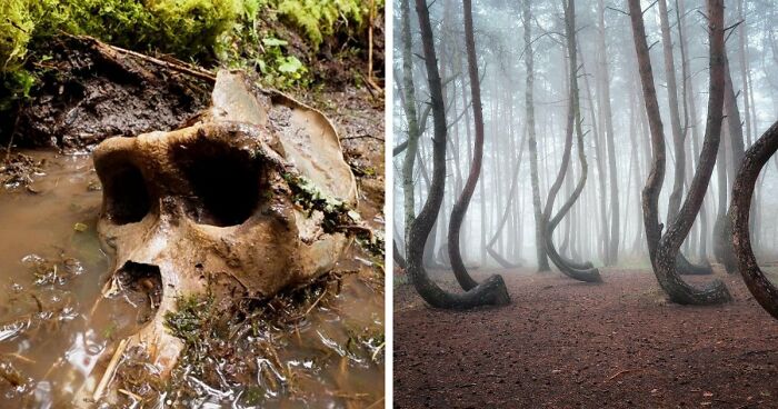 77 Stories Of High Strangeness That Might Send You Down A Late-Night Rabbit Hole