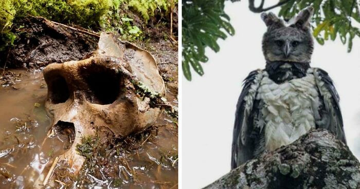 77 Stories Of High Strangeness That Might Send You Down A Late-Night Rabbit Hole