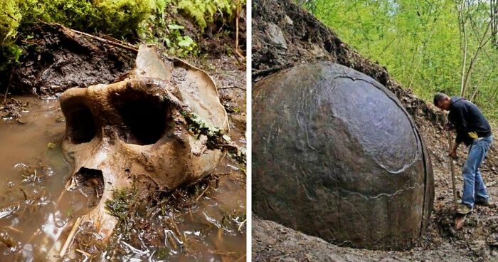77 Stories Of High Strangeness That Might Send You Down A Late-Night Rabbit Hole